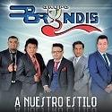 Grupo-Bryndis