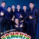 armonia-10-grupo