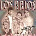 brios-los1