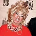 celiacruz1