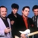 fabulous_thunderbirds