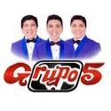 grupo_v
