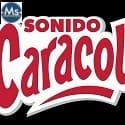 sonido_caracol